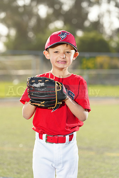 SB_TB_Bats046