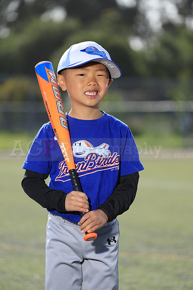 SB_TB_IronBirds034