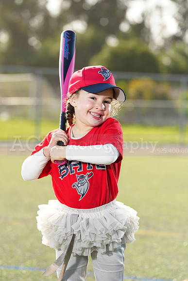 SB_TB_Bats071