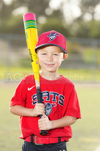 SB_TB_Bats029