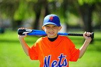 AA METS012
