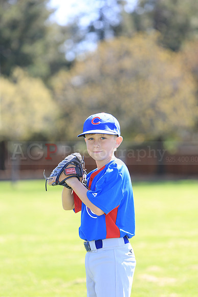 AAACubs065