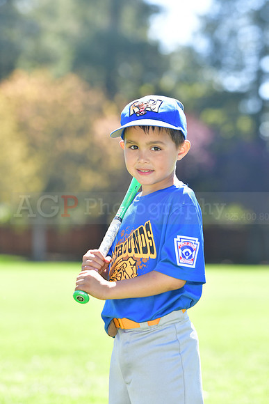 FMRockhounds010