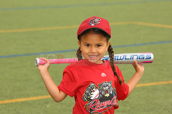 SB_TB_Ironpigs00065
