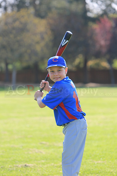 AACubs034