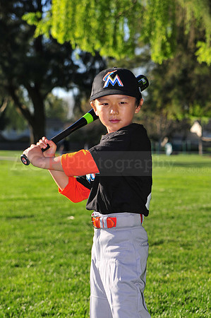 TBMarlins008