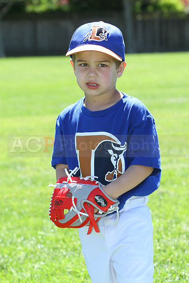 TBBulls044