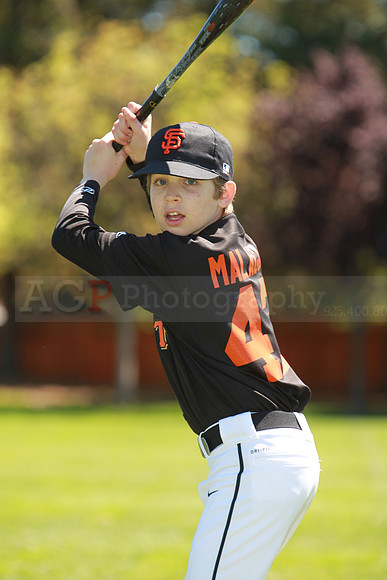 MGiants098