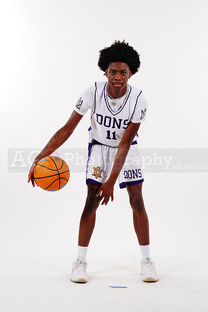 AVHS_JV00033