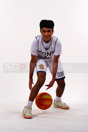 AVHS_JV00182