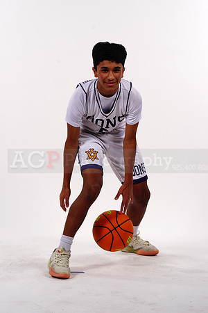 AVHS_JV00183