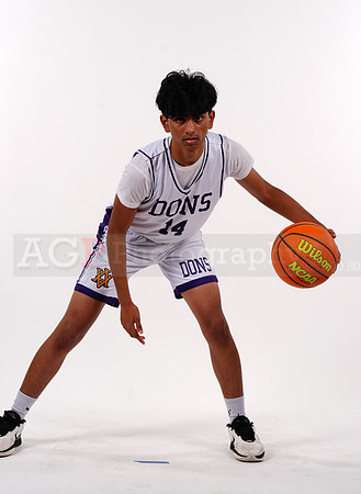 AVHS_JV00190