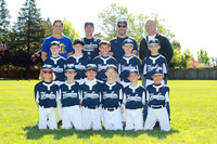 AA YANKEES