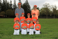 T-BALL GRASSHOPPERS