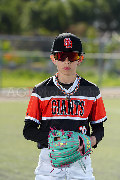 SB_BR_Giants018