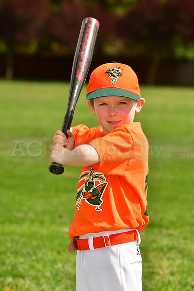 FMGrasshoppers016