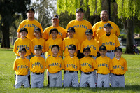 AA PIRATES