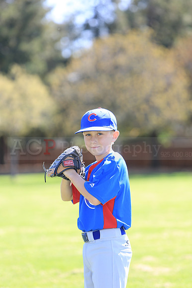 AAACubs066