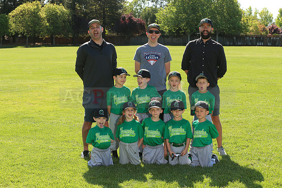 PLL_TB_Emeralds00098