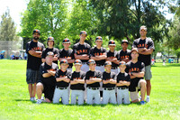 MajorGiants005