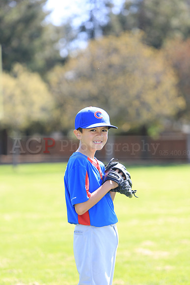 AAACubs001