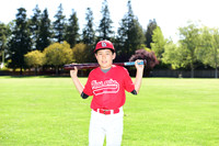 MCardinals0006