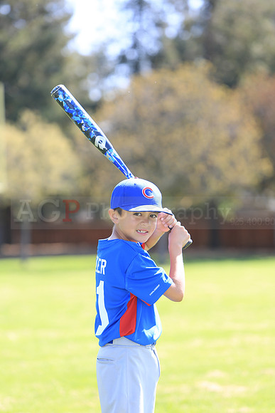 AAACubs003