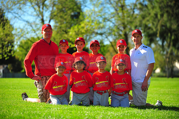 TBall_Cardinals069