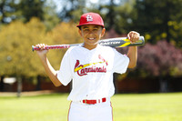MCards1008