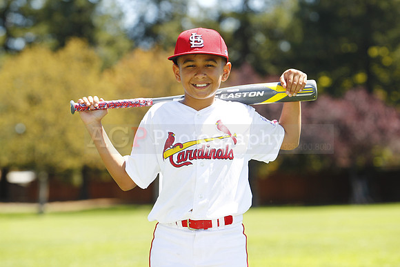 MCards1008