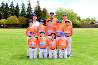 MAJOR METS