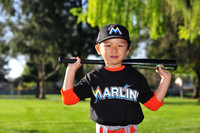 TBMarlins010