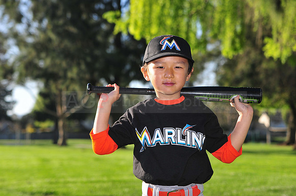 TBMarlins010