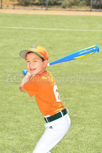 SB_TB_Grasshoppers00047