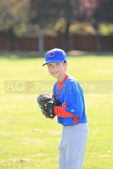 AACubs014