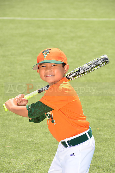 SB_TB_Grasshoppers00028