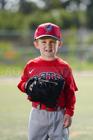 SB_TBALL_BATS127