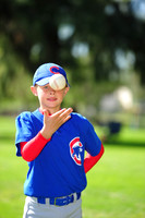 AA_Cubs001