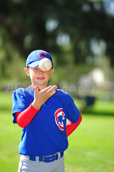 AA_Cubs001