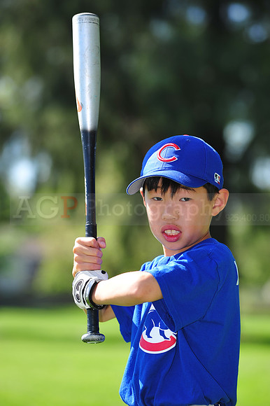 AA_Cubs041
