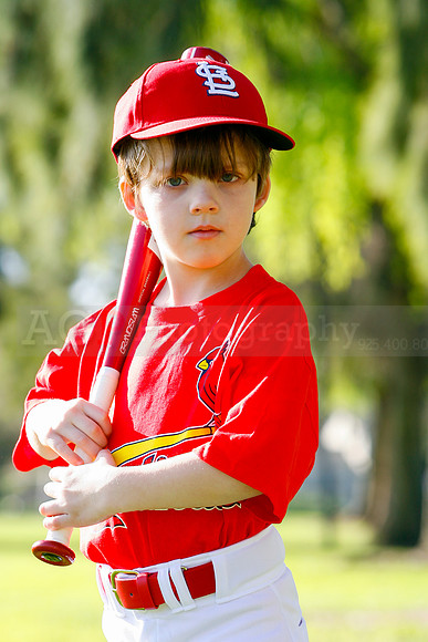 TBCards046
