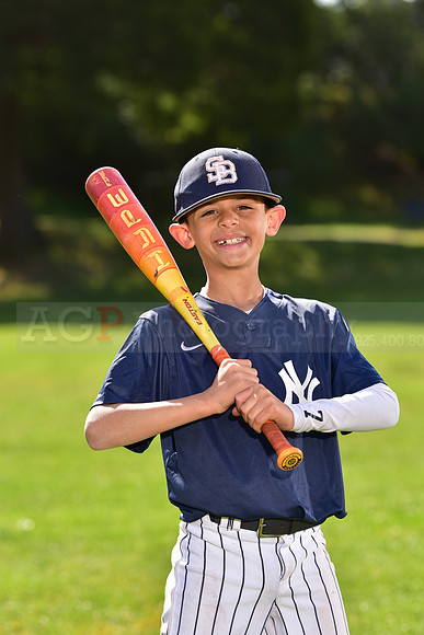 SB_JrPW_Yankees001
