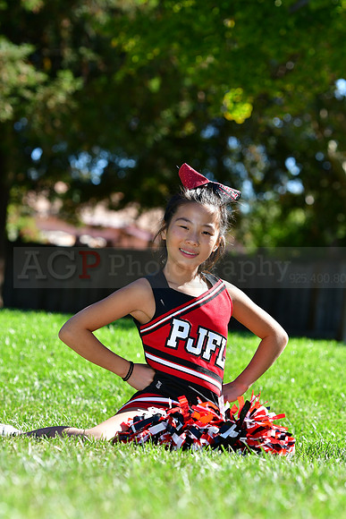 Cheer120