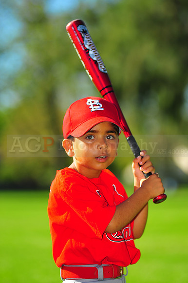 TBall_Cardinals014