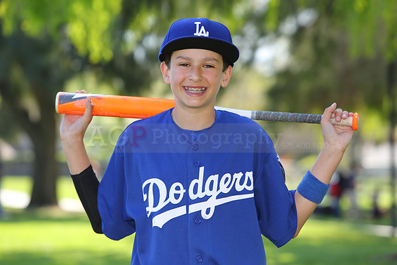 MajorDodgers016