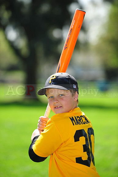 AAAPirates011