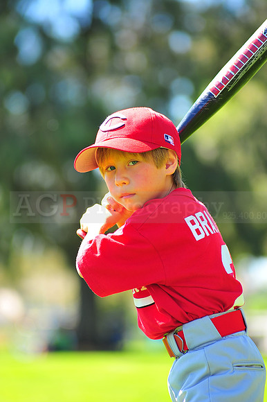 A_Reds043