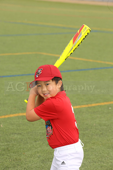 SB_TB_Ironpigs00004