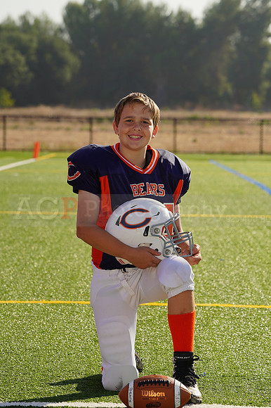 Bears00113