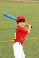 SB_TB_Ironpigs00007